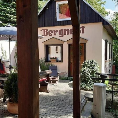 Bergnest Bungalow Bad Gottleuba Zewnętrze zdjęcie