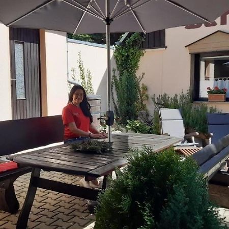 Bergnest Bungalow Bad Gottleuba Zewnętrze zdjęcie
