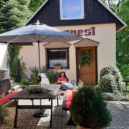 Bergnest Bungalow Bad Gottleuba Zewnętrze zdjęcie